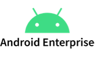 Google Enterprise Partner